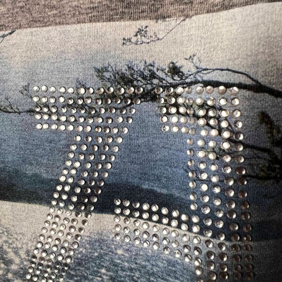 ZARA Collection BNWT Grey Silkscreened Tee with crystal embelishments Size Small - Picture 3 of 6